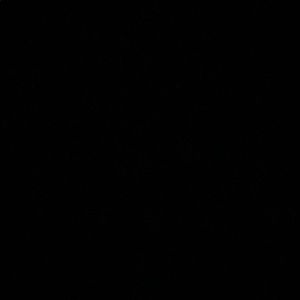 Meet your Posher, Lucy